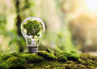 Châtel-St-Denis décroche pour la deuxième fois le label « European Energy Award GOLD »