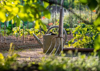 Et si votre jardin faisait pousser bien plus que des légumes ?