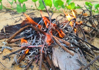 Danger d'incendie en forêt