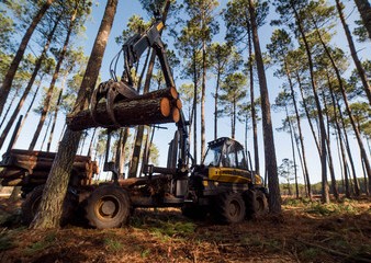 Fermeture temporaire de la route du Perry 