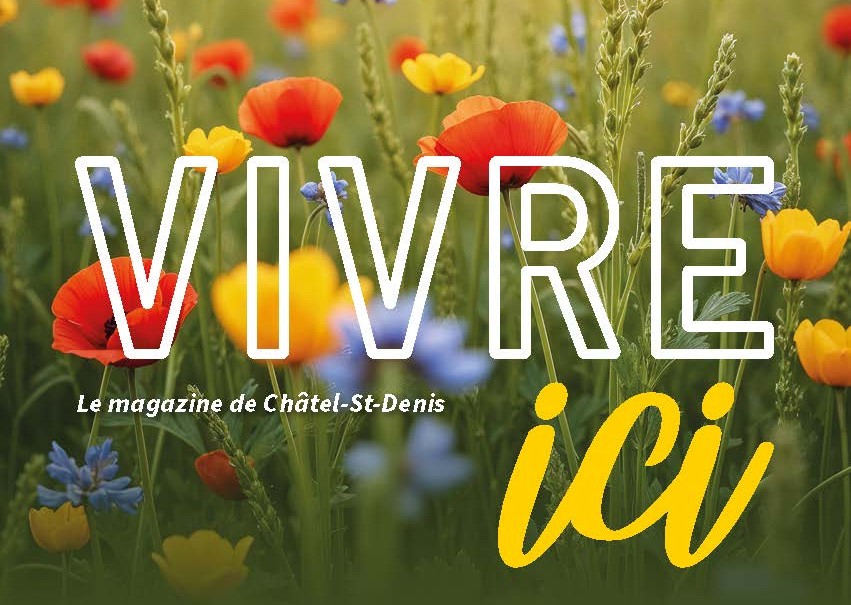 Magazine Vivre ici n°16 : au cœur de l'actualité 