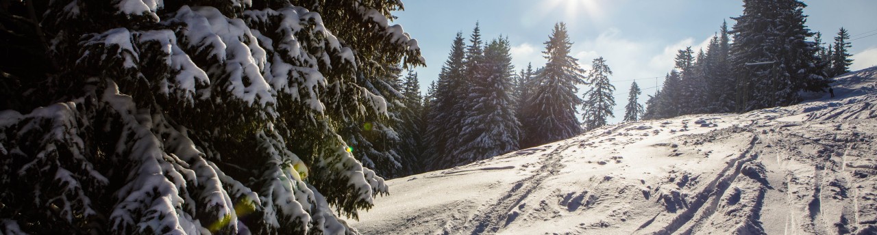 Le ski sous toutes ses formes