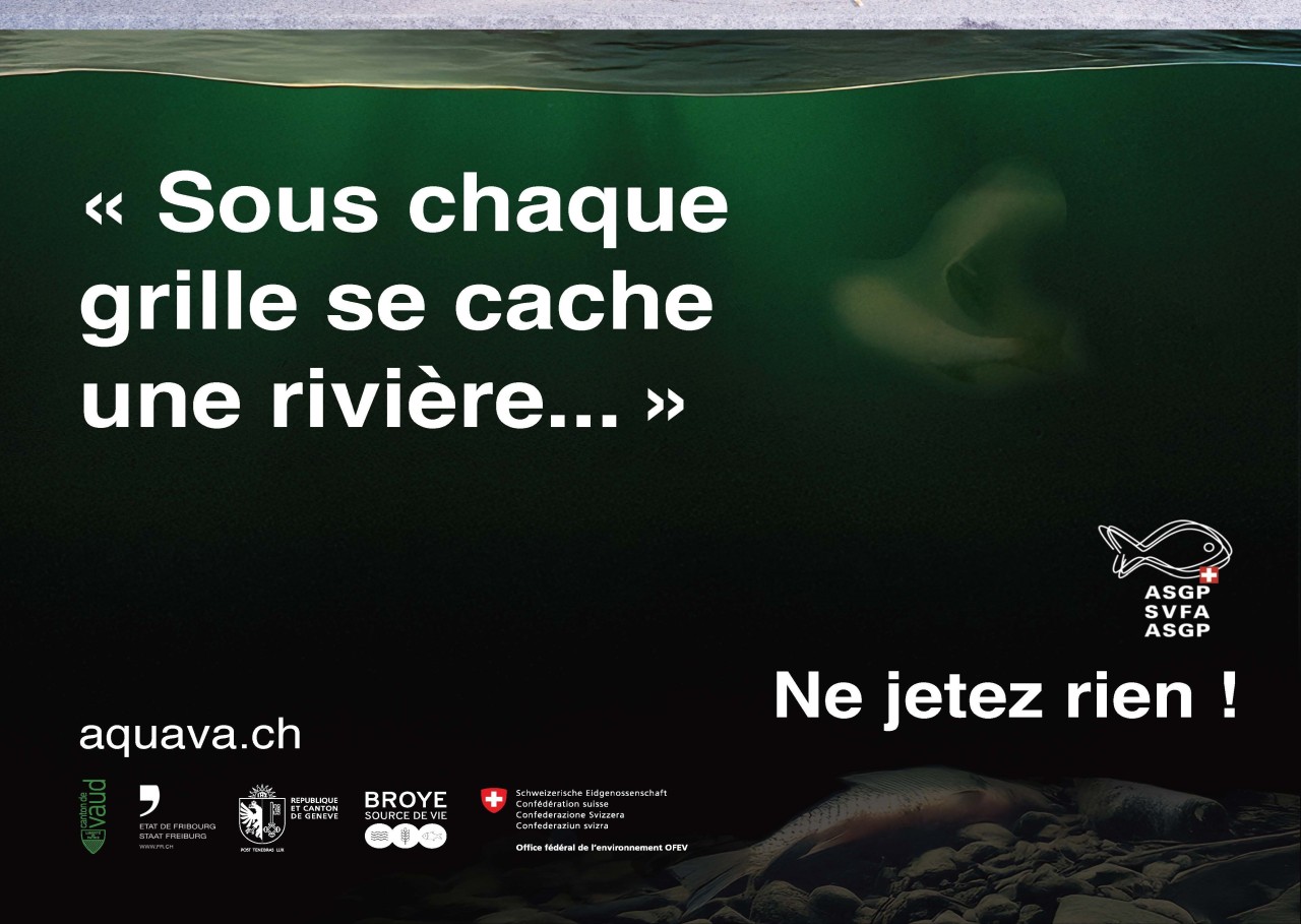 Sous chaque grille se cache une rivière 