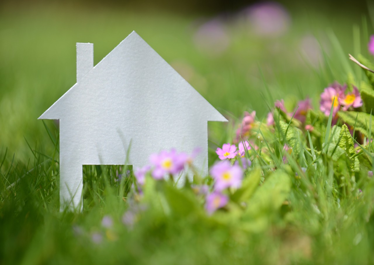 Portefeuille d'actions pour la biodiversité en milieu bâti