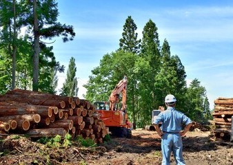 Travaux forestiers – fermeture de la route du Perry